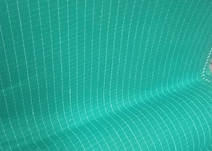 Cotton Canvas Green