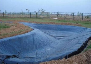 Algae Pond Liner